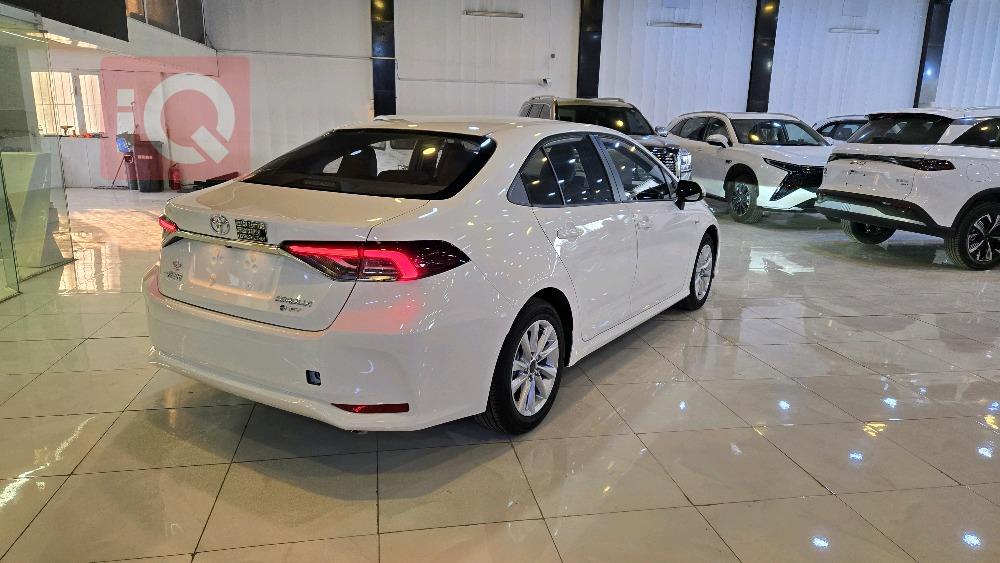 تويوتا كورولا